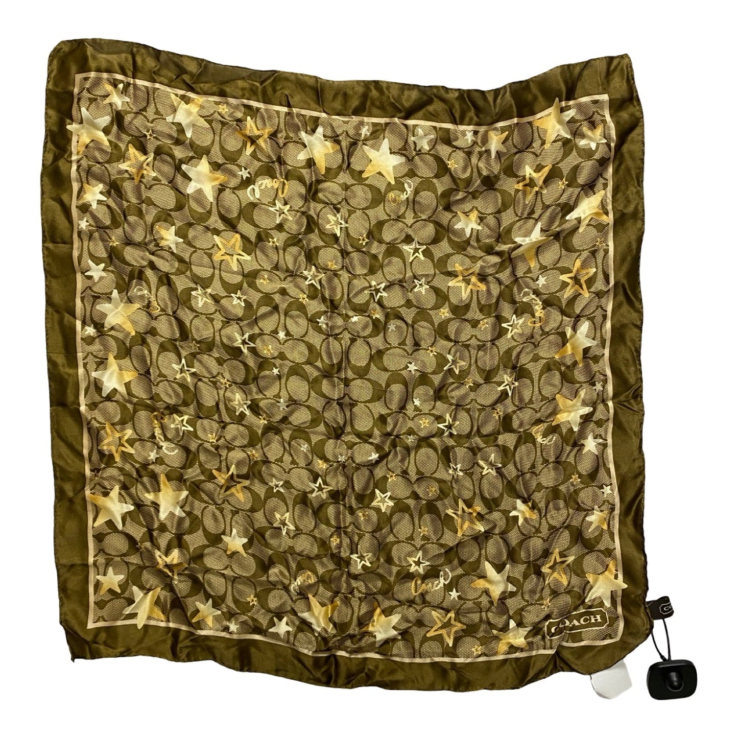 Scarf Designer By Coach In Multi