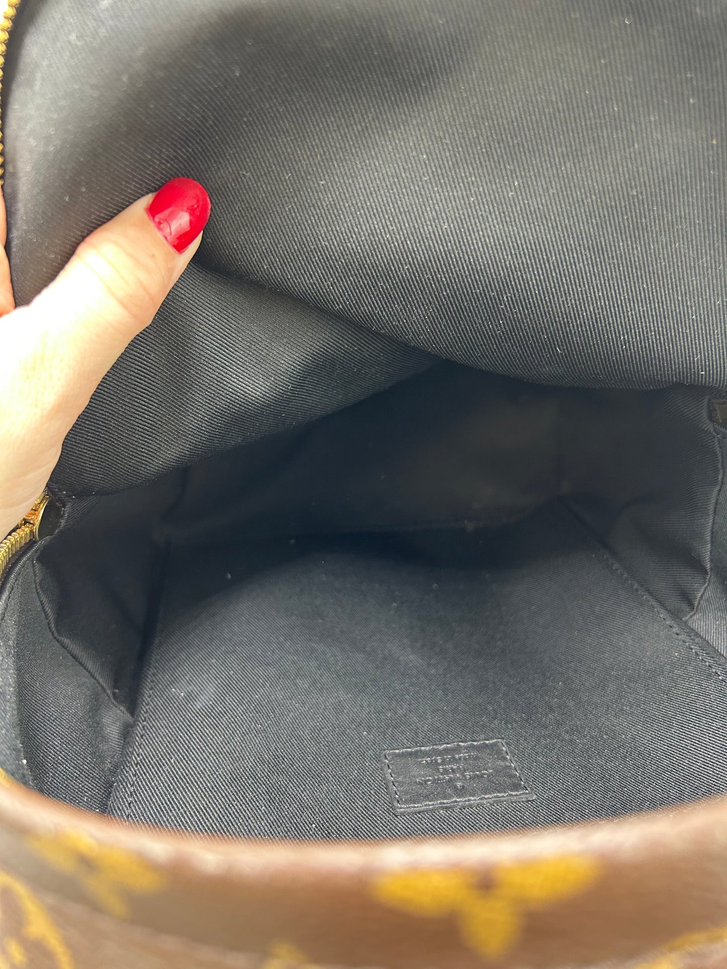 Louis Vuitton Palm Springs Luxury Backpack Handbag