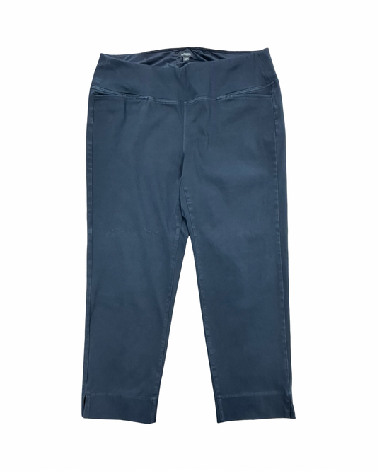 Pants Other By J. Jill In Black, Size:2X