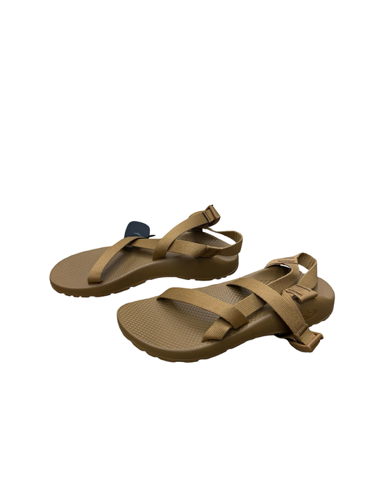 Sandals Flats By Chacos In Brown, Size:11