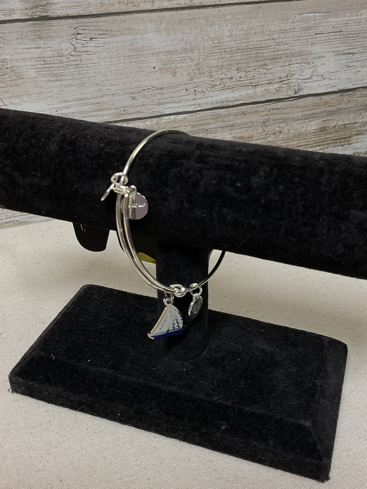 Bracelet Bangle By Alex And Ani In Blue & Silver