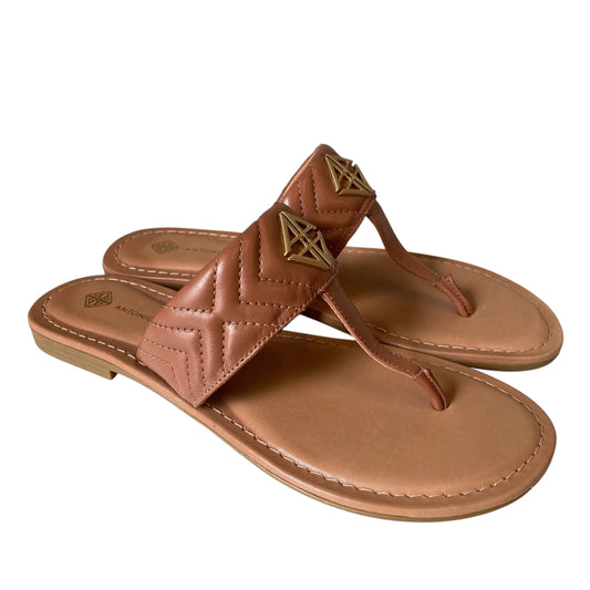 Sandals Flip Flops By Antonio Melani In Tan, Size:7