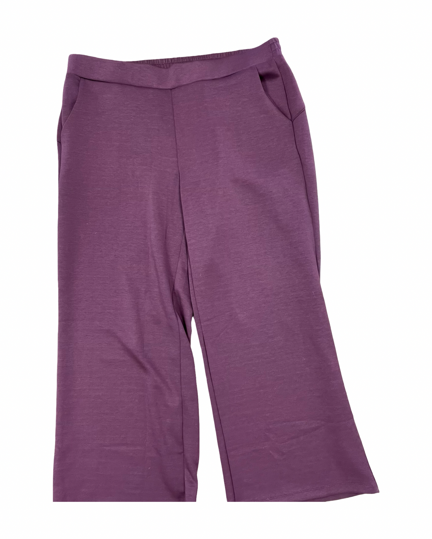 Pants Other By Dear Scarlett In Purple, Size:3X