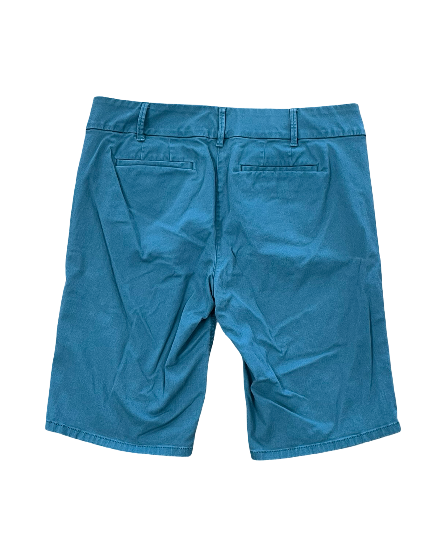 Shorts By Loft In Teal, Size:10