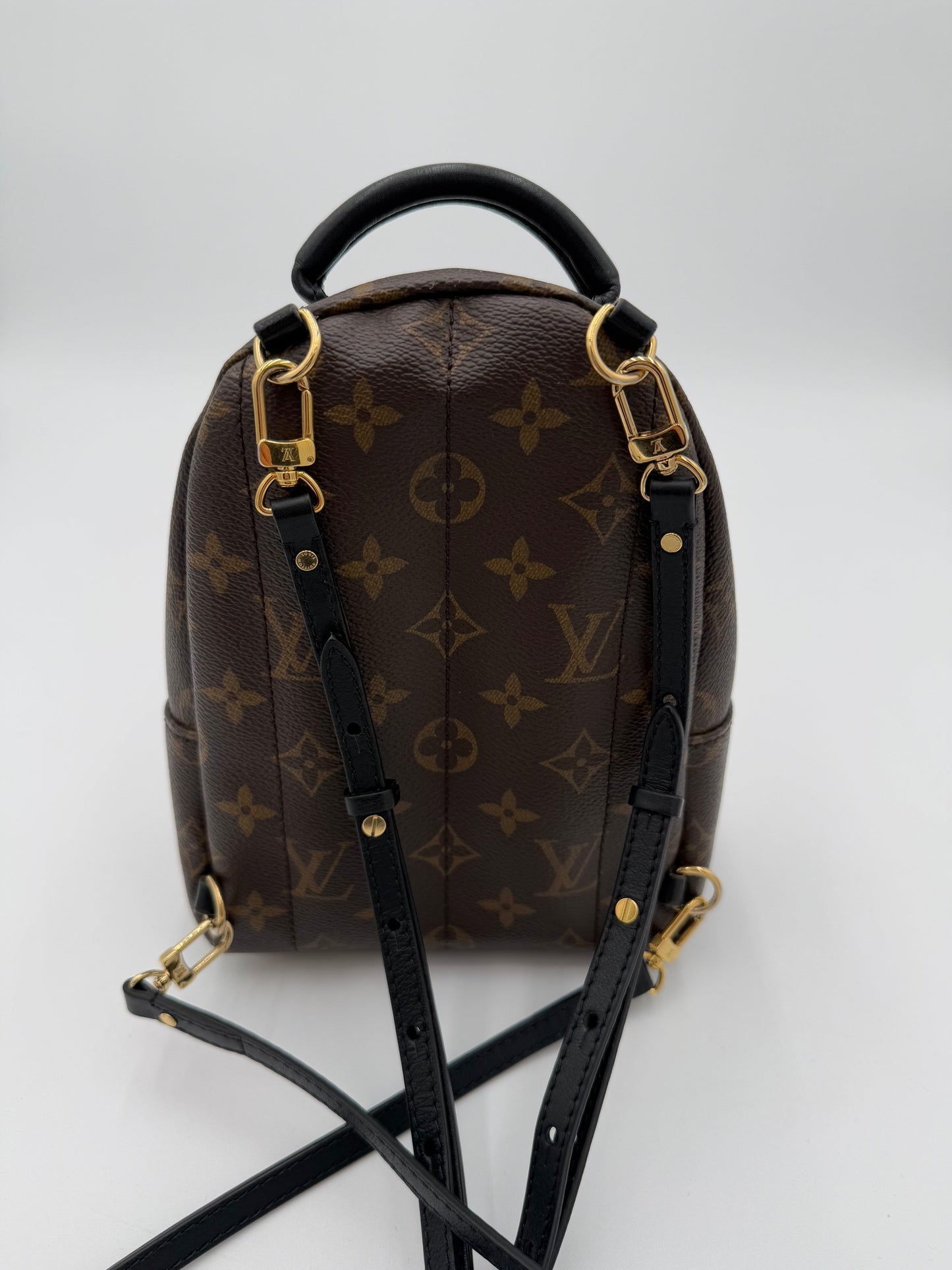 Backpack Luxury Designer By Louis Vuitton, Size: Small