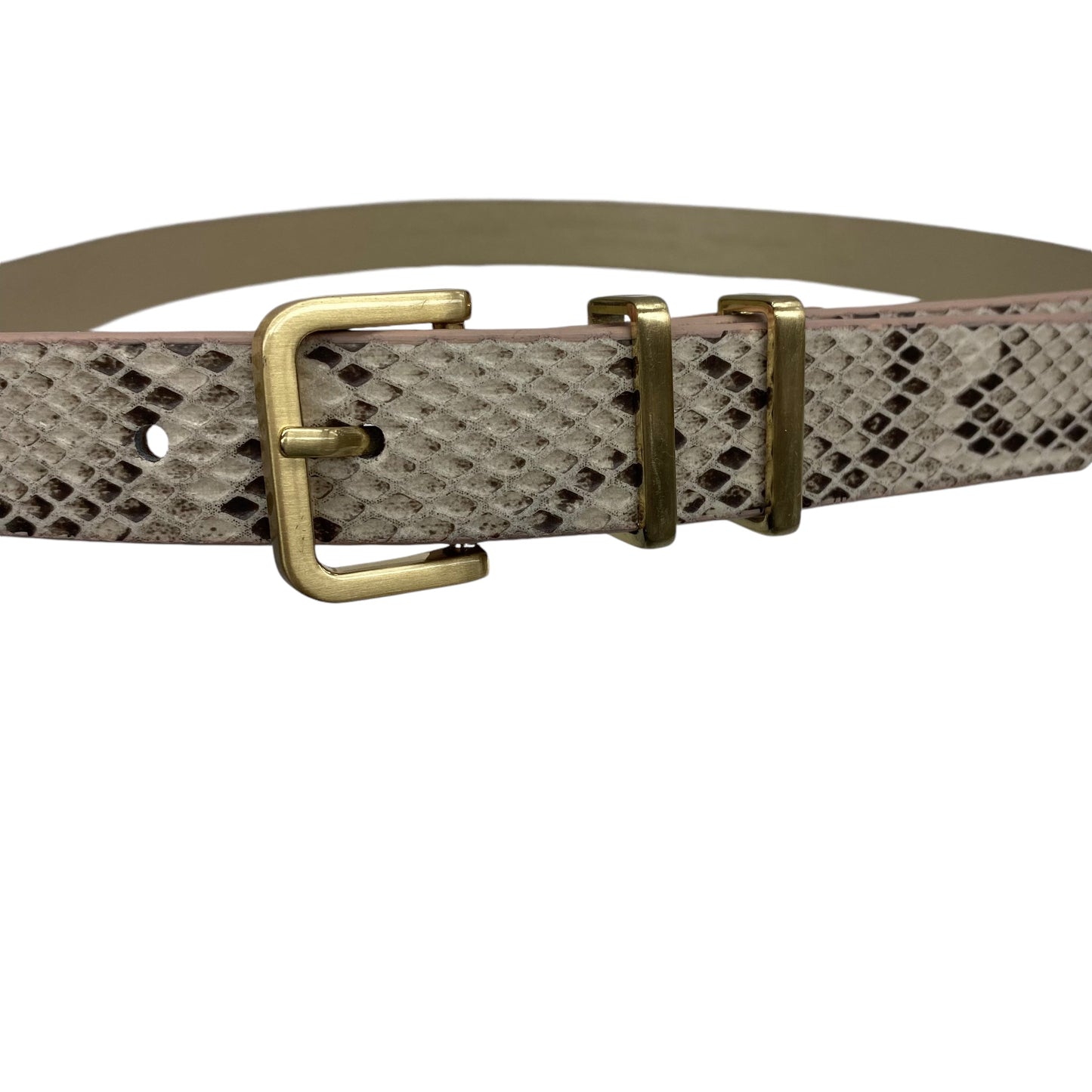 Belt By Clothes Mentor In Snakeskin Print