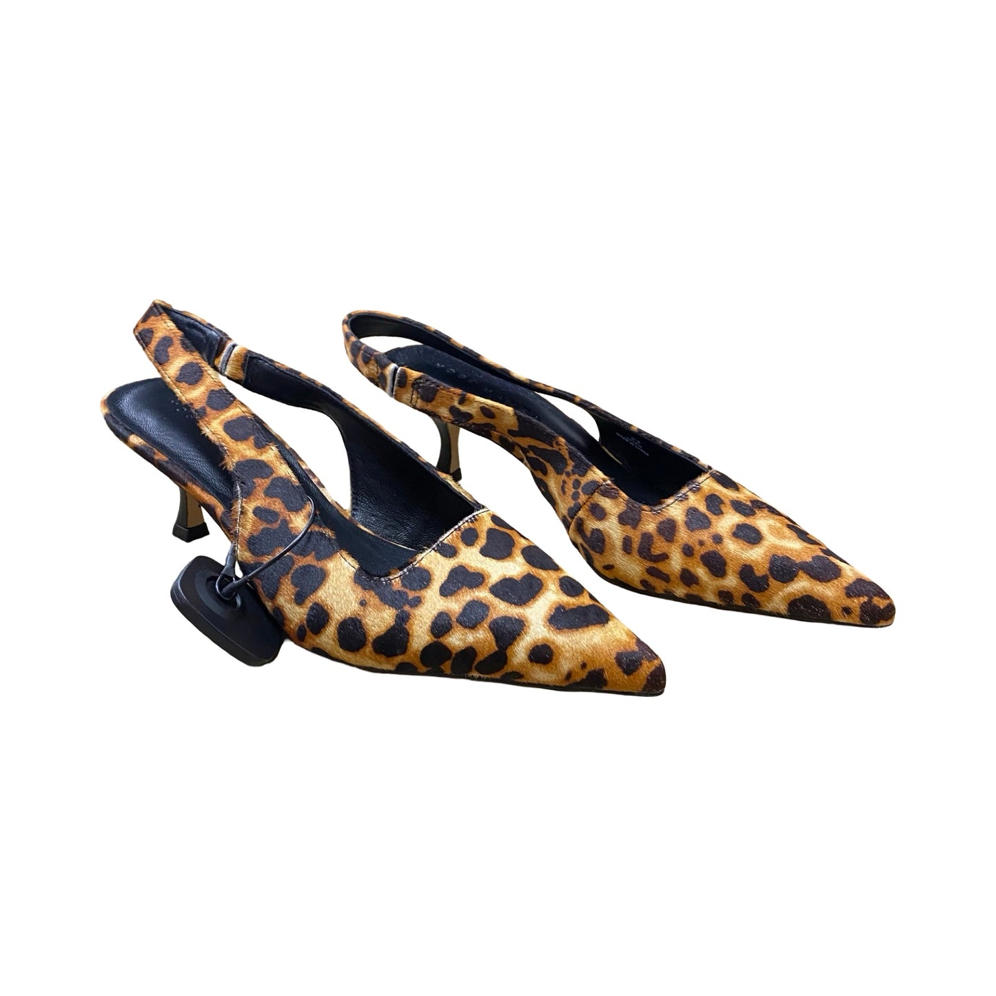 Shoes Heels Kitten By Yosi Samra In Animal Print, Size:9.5