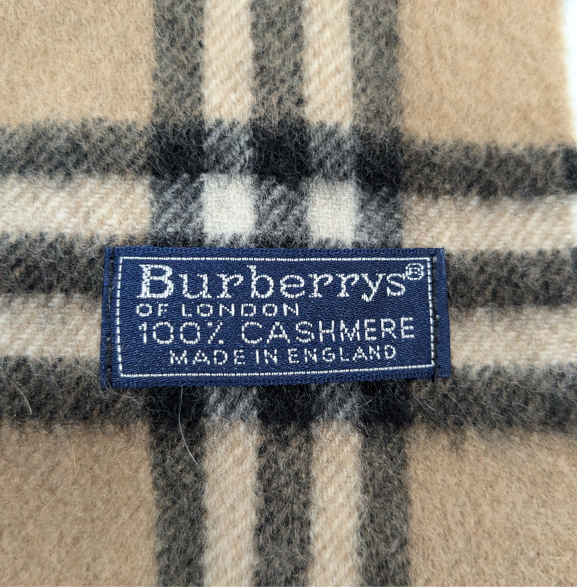 Scarf Luxury Designer By Burberry