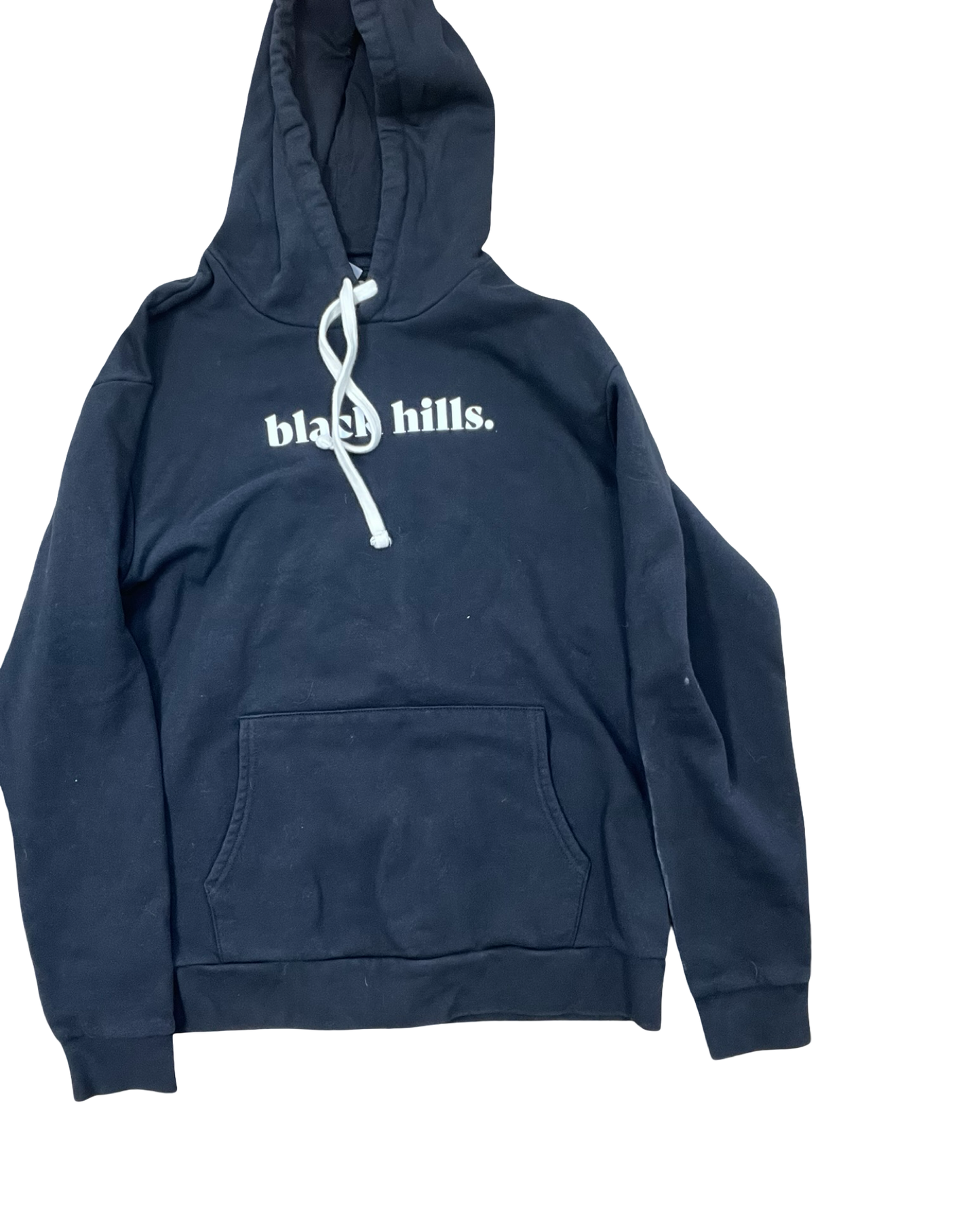 Sweatshirt Hoodie By Next Level In Black, Size:L
