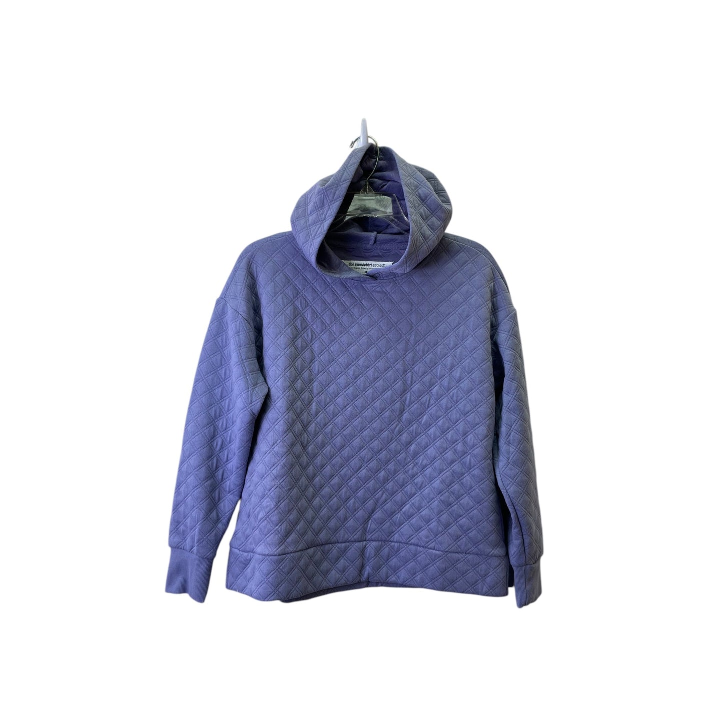 Sweatshirt Hoodie By Sweatshirt Project In Purple, Size:S