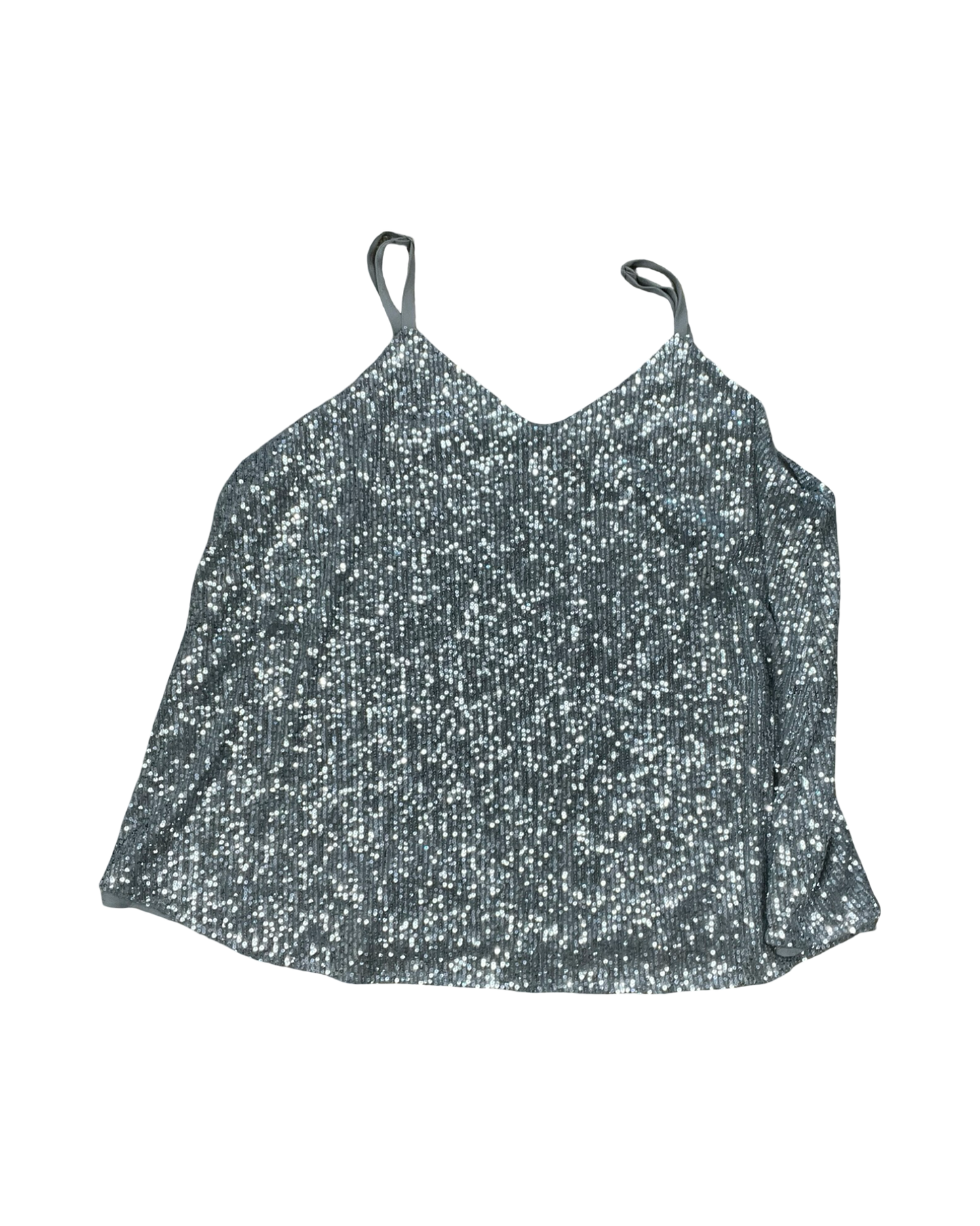 Top Sleeveless By Torrid In Silver, Size:2X