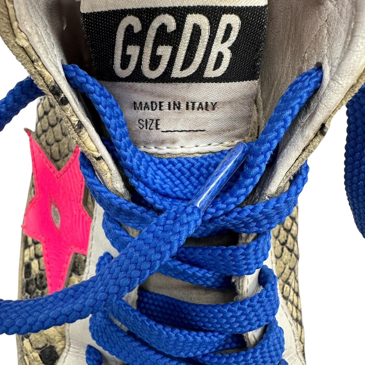 Shoes Luxury Designer By Golden Goose In Snakeskin Print, Size:8.5