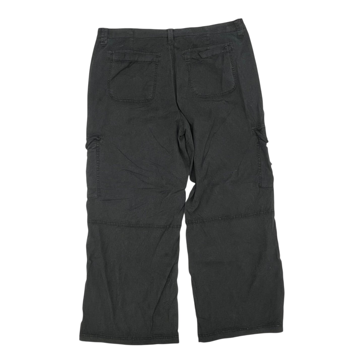 Pants Cargo & Utility By American Eagle In Black, Size:20