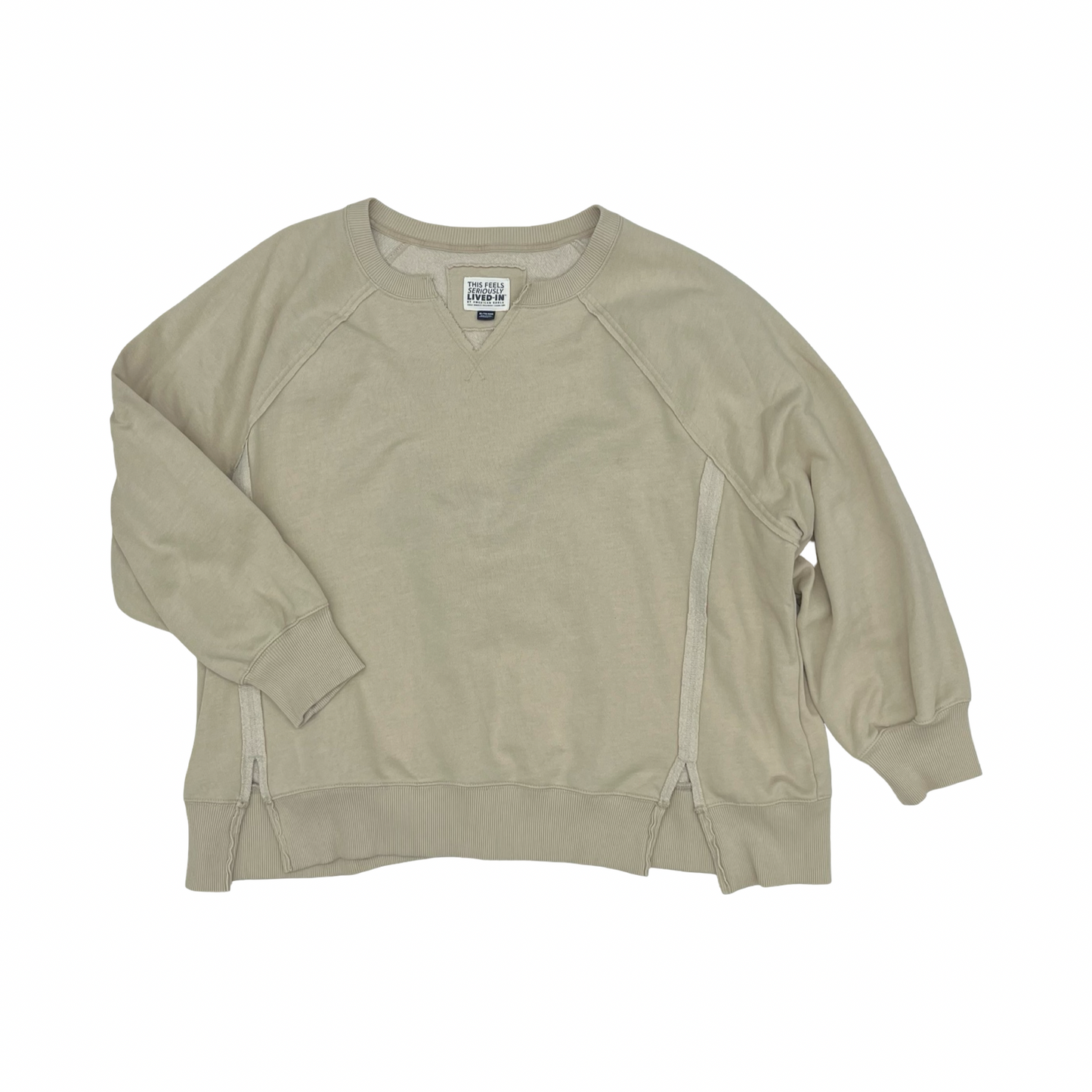 Sweatshirt Crewneck By American Eagle In Tan, Size:Xl