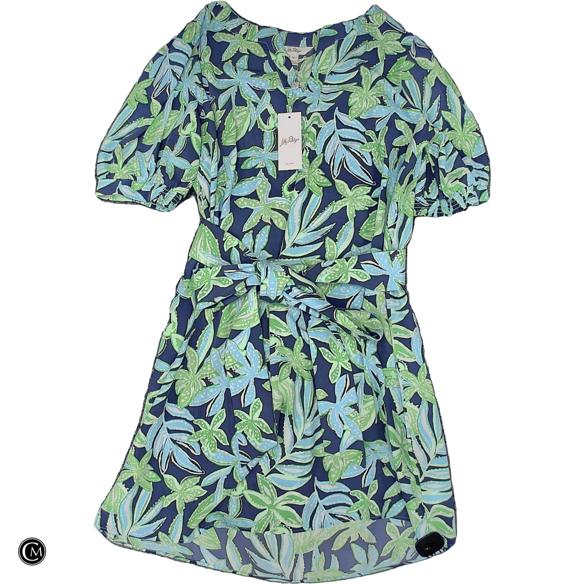 Dress Designer By Lilly Pulitzer In Blue & Green, Size: Xl image 1