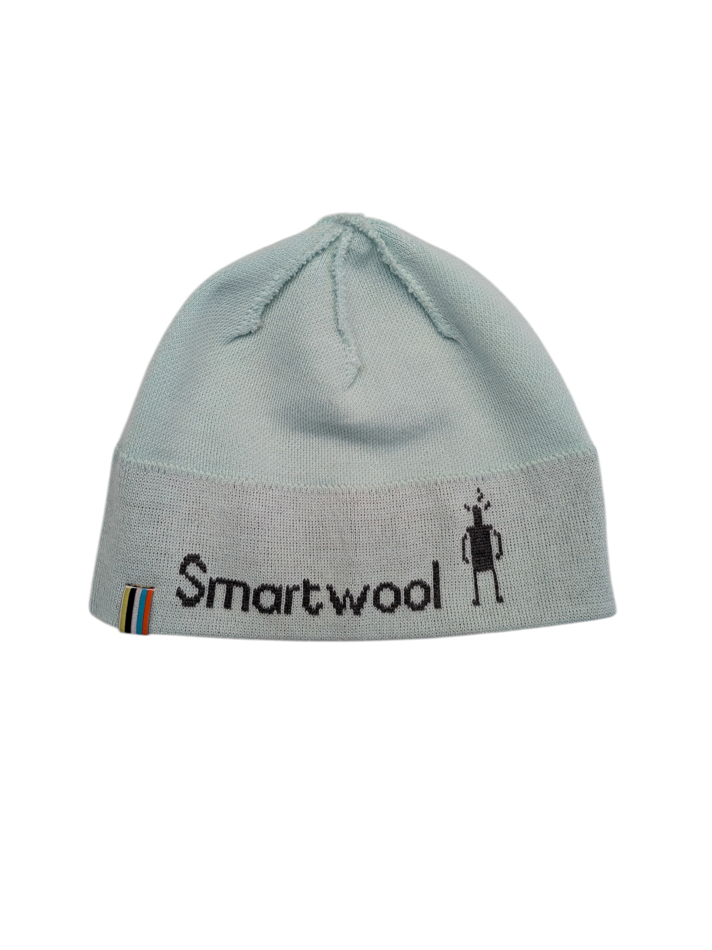 Hat Beanie By Smartwool In Teal