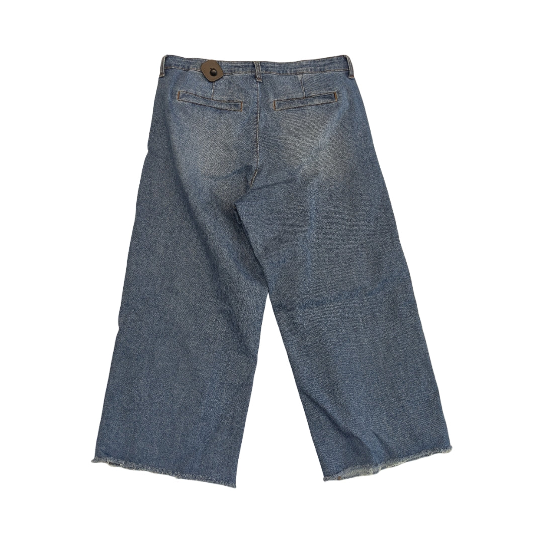 Jeans Cropped By Ella Moss In Blue, Size:12