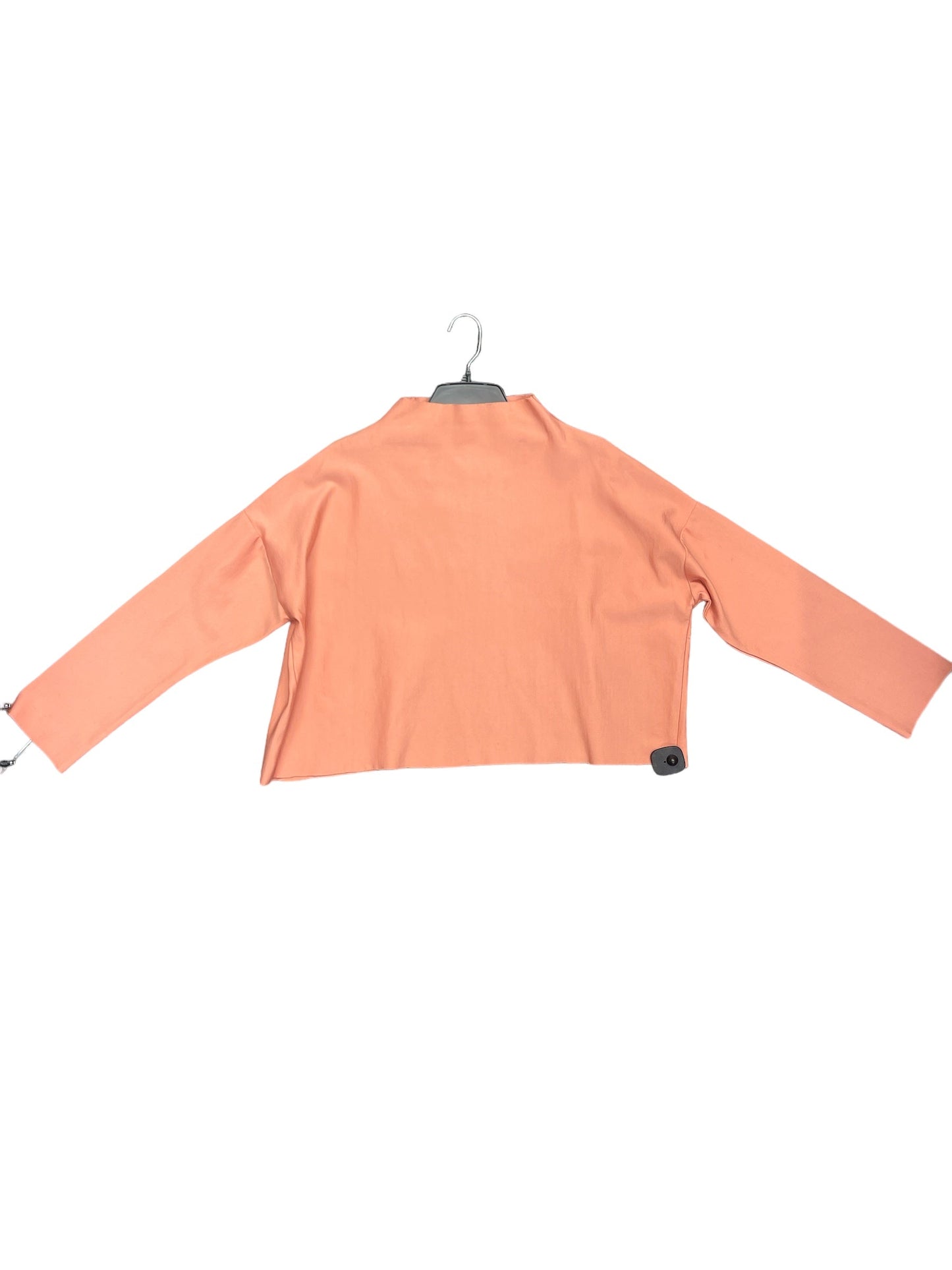 Top Long Sleeve By Clothes Mentor  Size: L