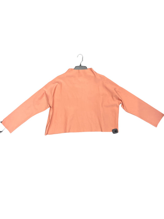 Top Long Sleeve By Clothes Mentor  Size: L