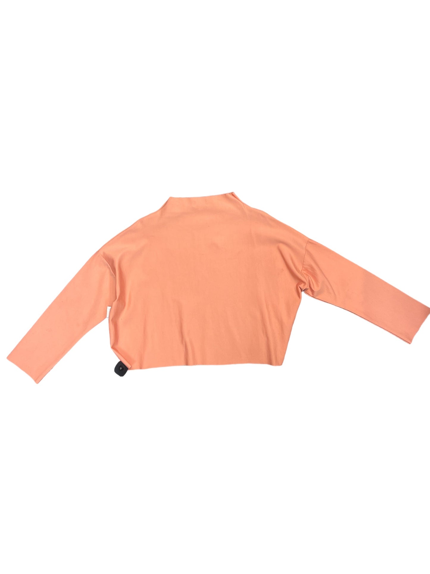 Top Long Sleeve By Clothes Mentor  Size: L