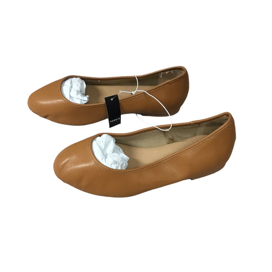 Shoes Flats Ballet By Torrid  Size: 8