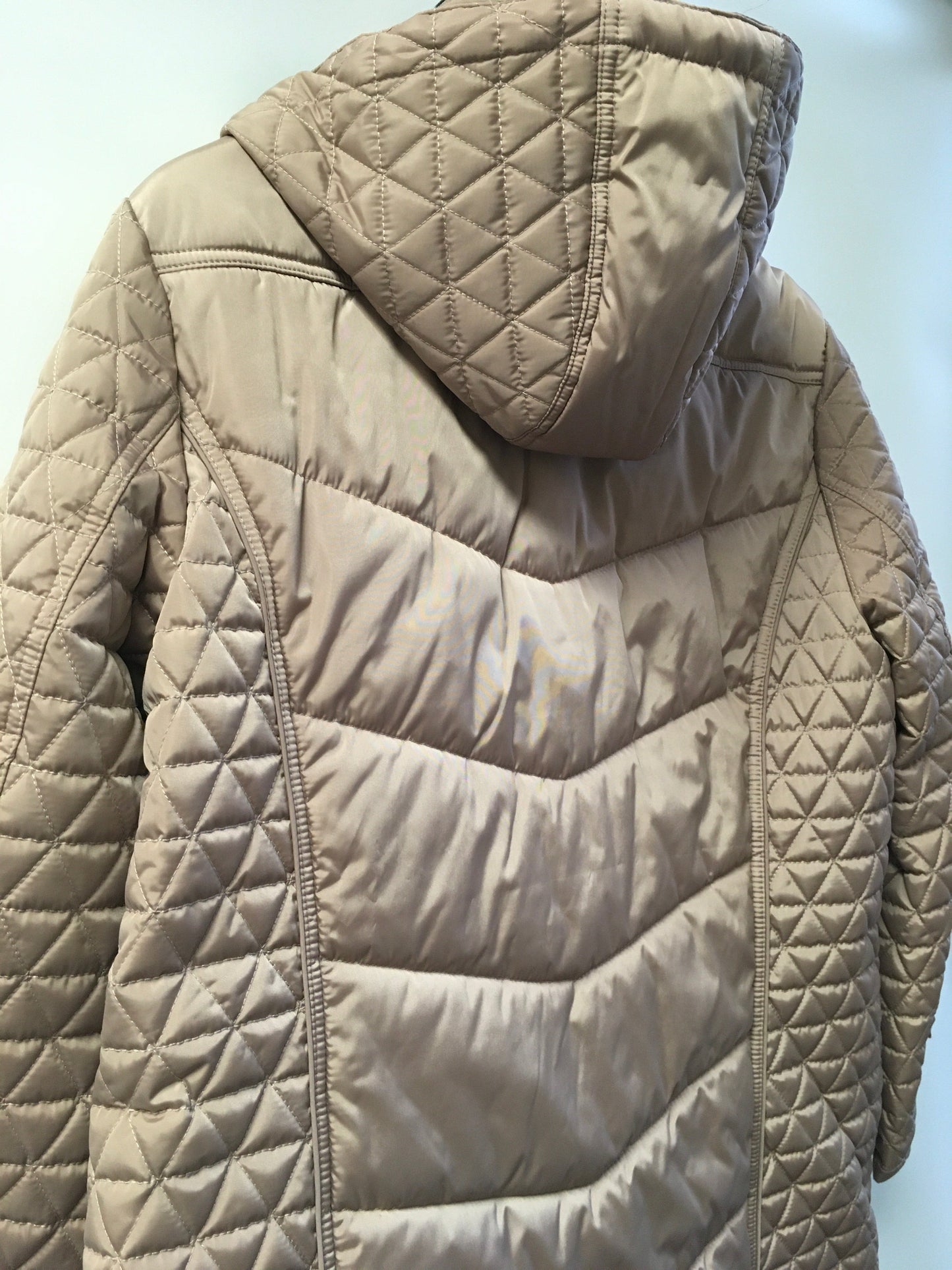 Jacket Puffer & Quilted By Dressbarn  Size: 1x