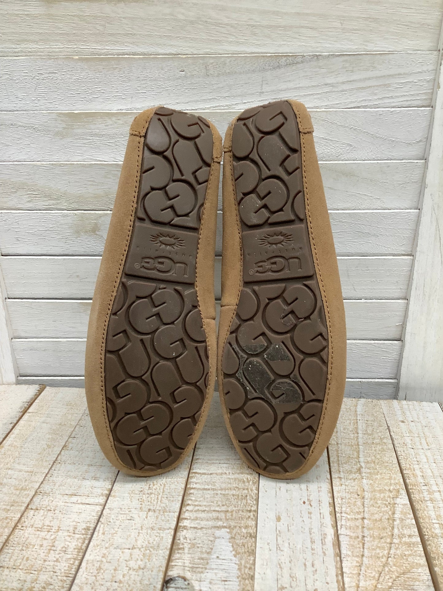 Shoes Flats Moccasin By Ugg  Size: 8