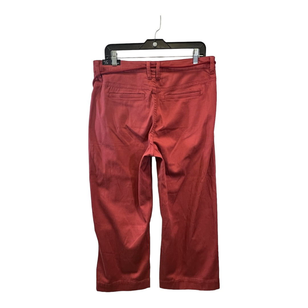 Pants Chinos & Khakis By Liverpool  Size: 12