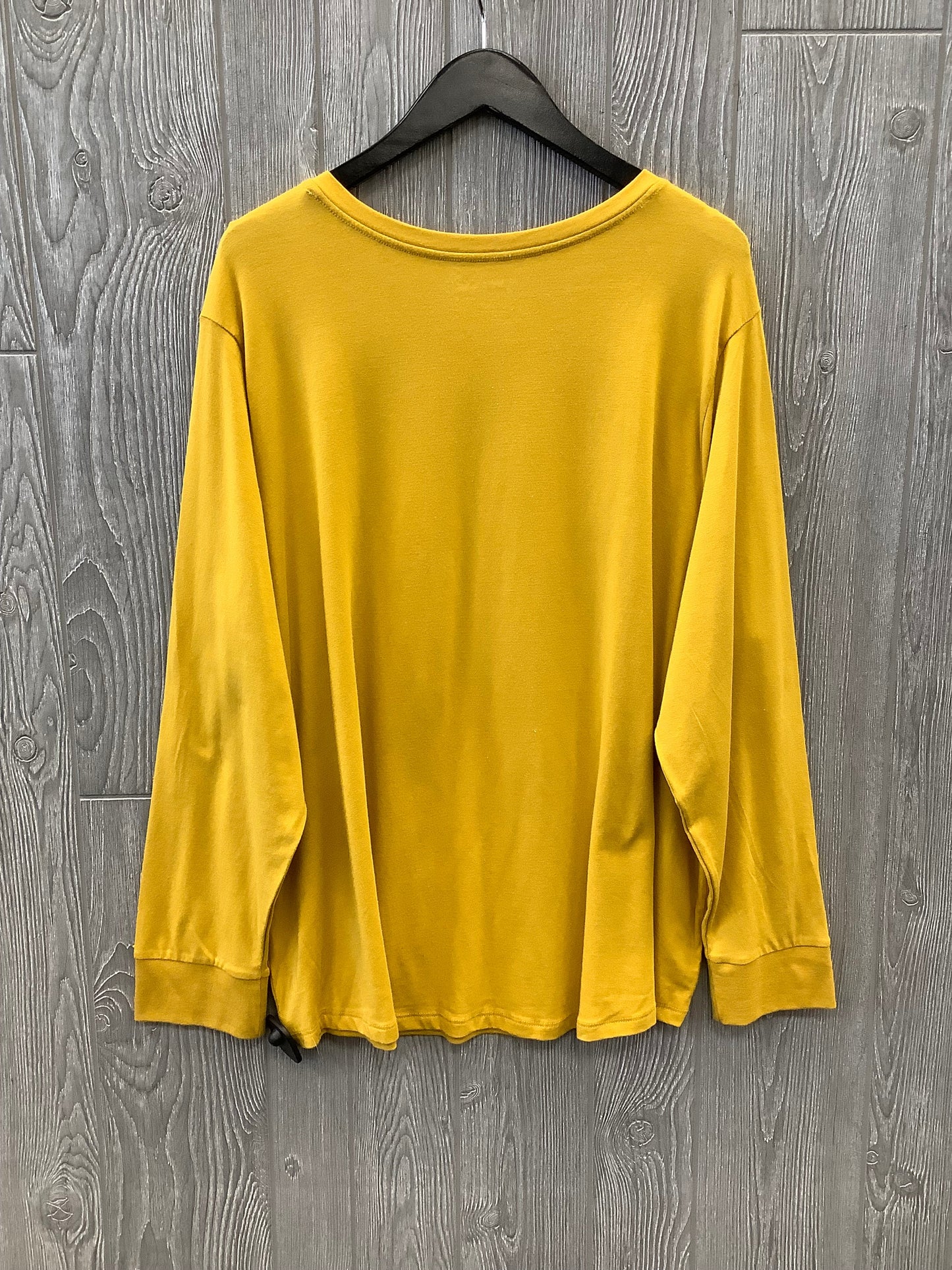 Top Long Sleeve Basic By Terra & Sky  Size: 3x